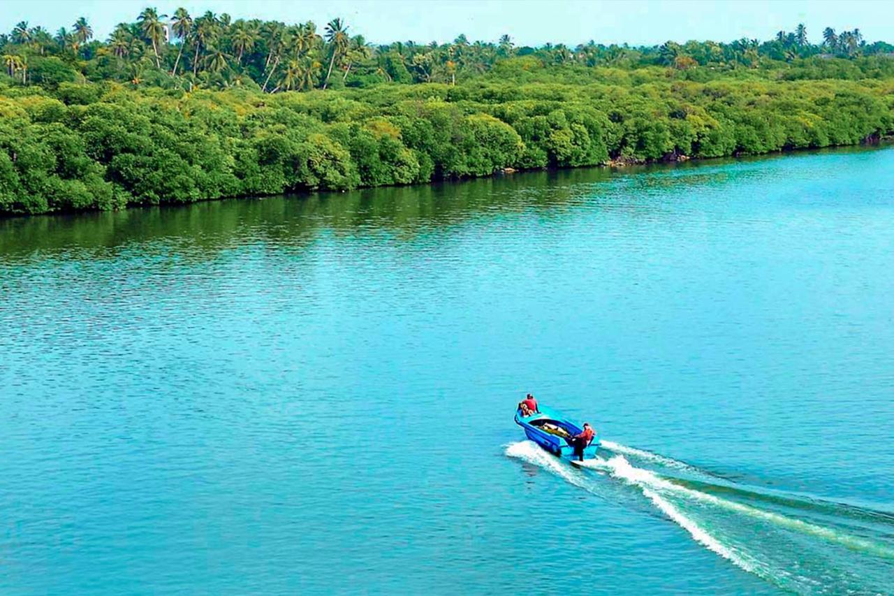 Bohemian Hotel - Negombo Kurana Katunayaka Kültér fotó